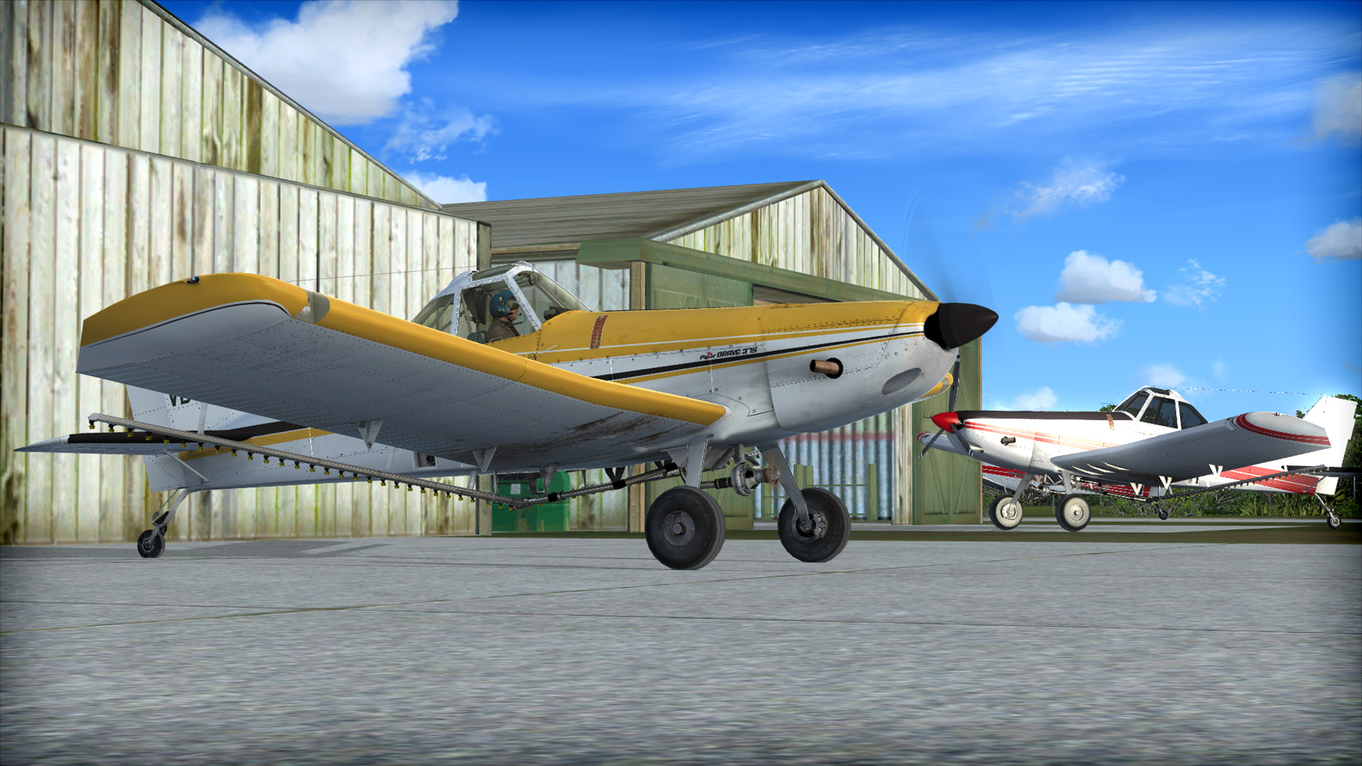 FSX: Steam Edition - Piper PA-36 Pawnee Brave 375 Add-On