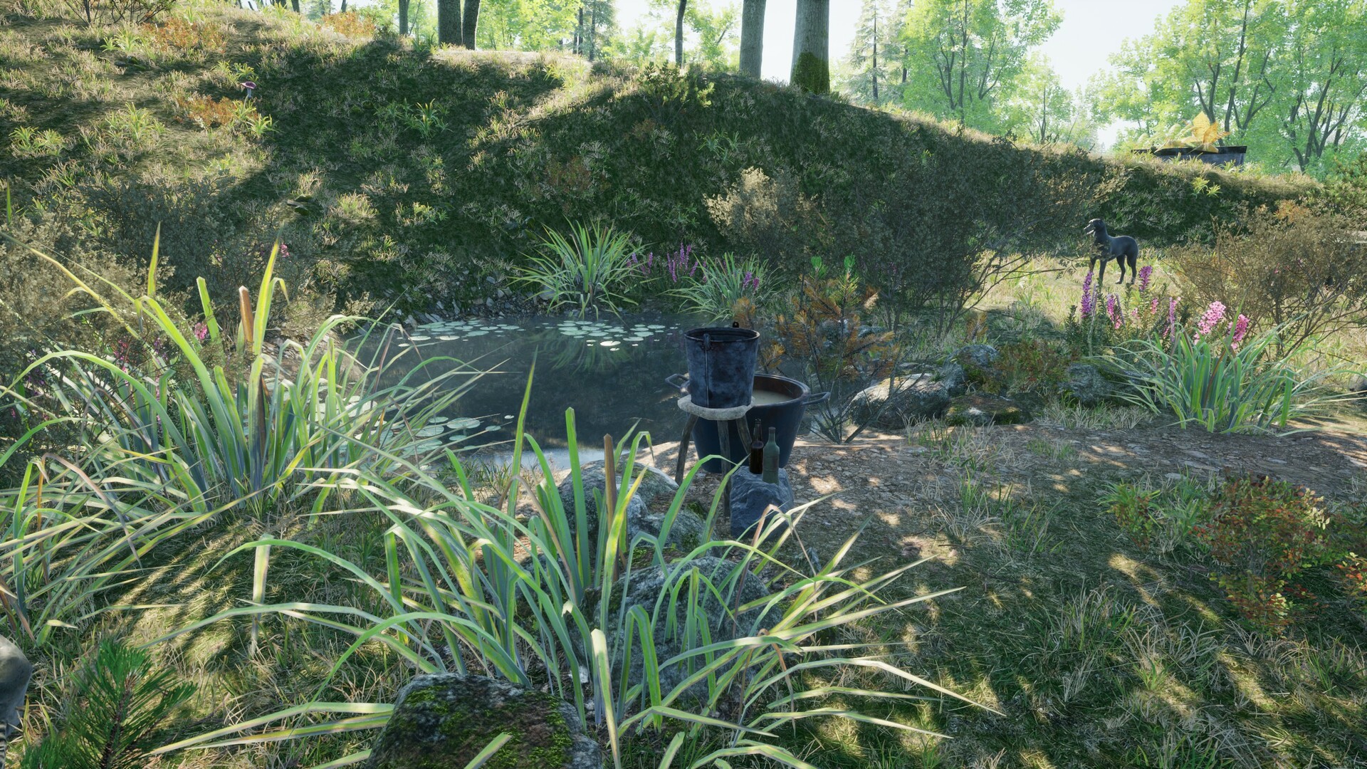 KeepUp Survival