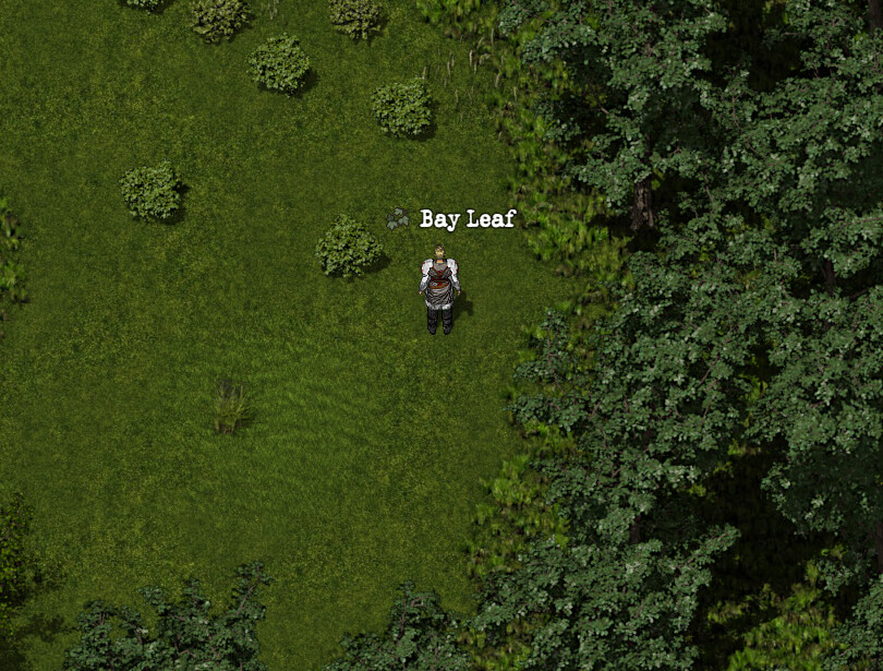 Lost Tenet