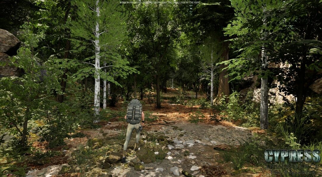 Cypress Inheritance: The Beginning