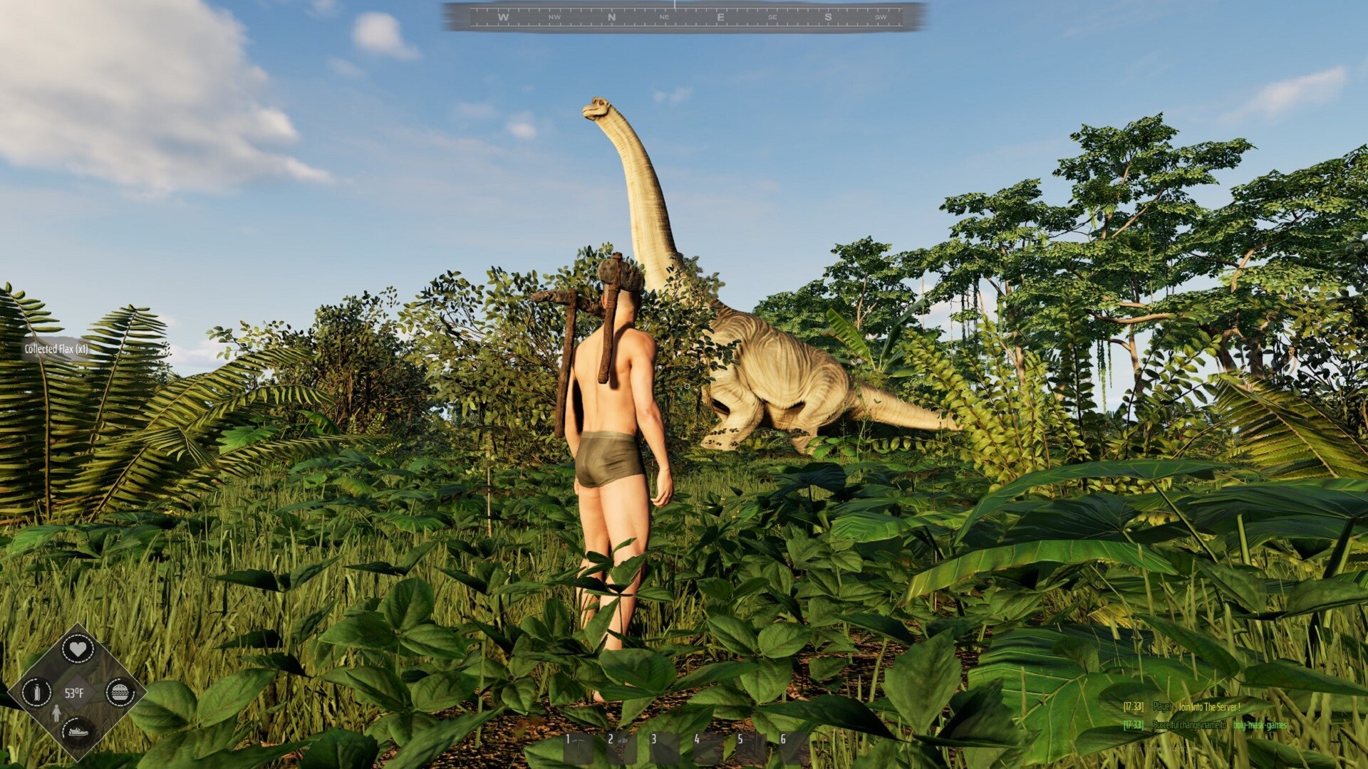 Mesorift Survival