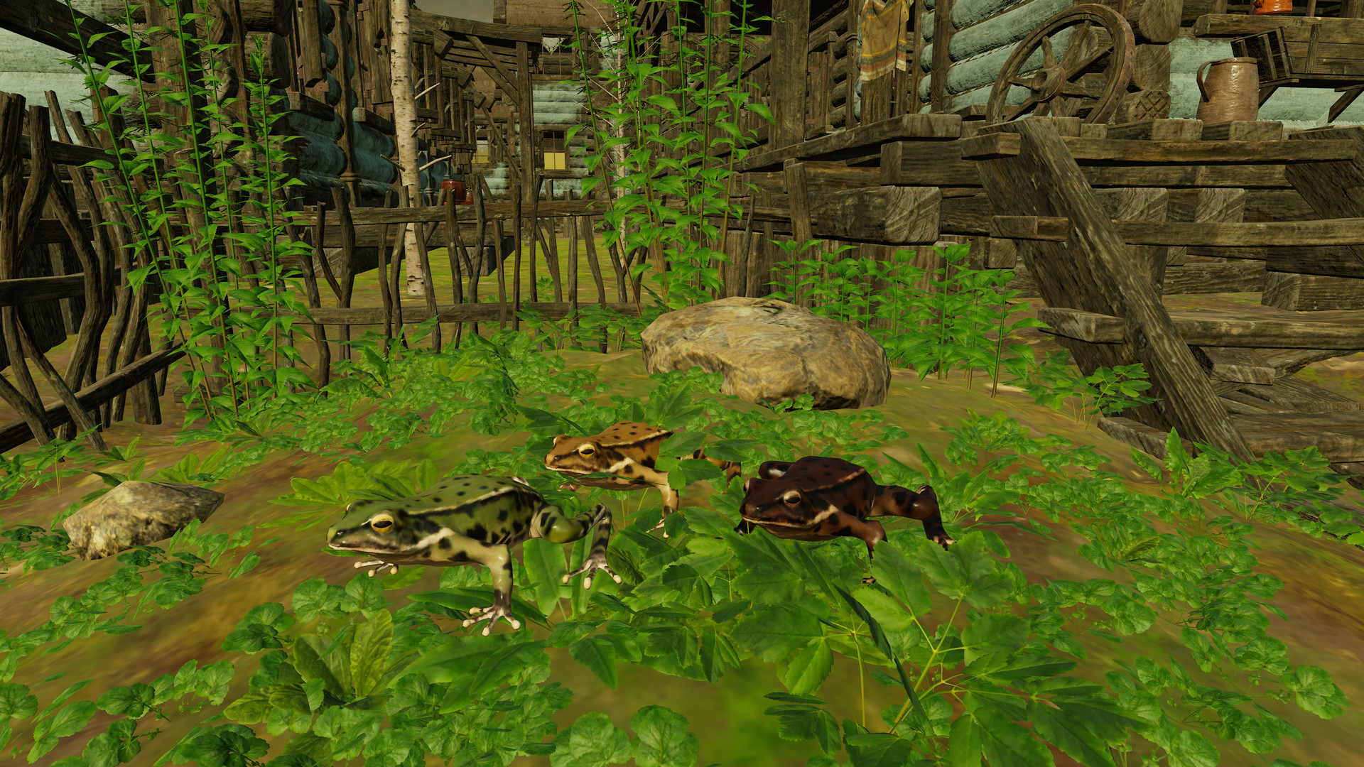 Animals for Clip maker