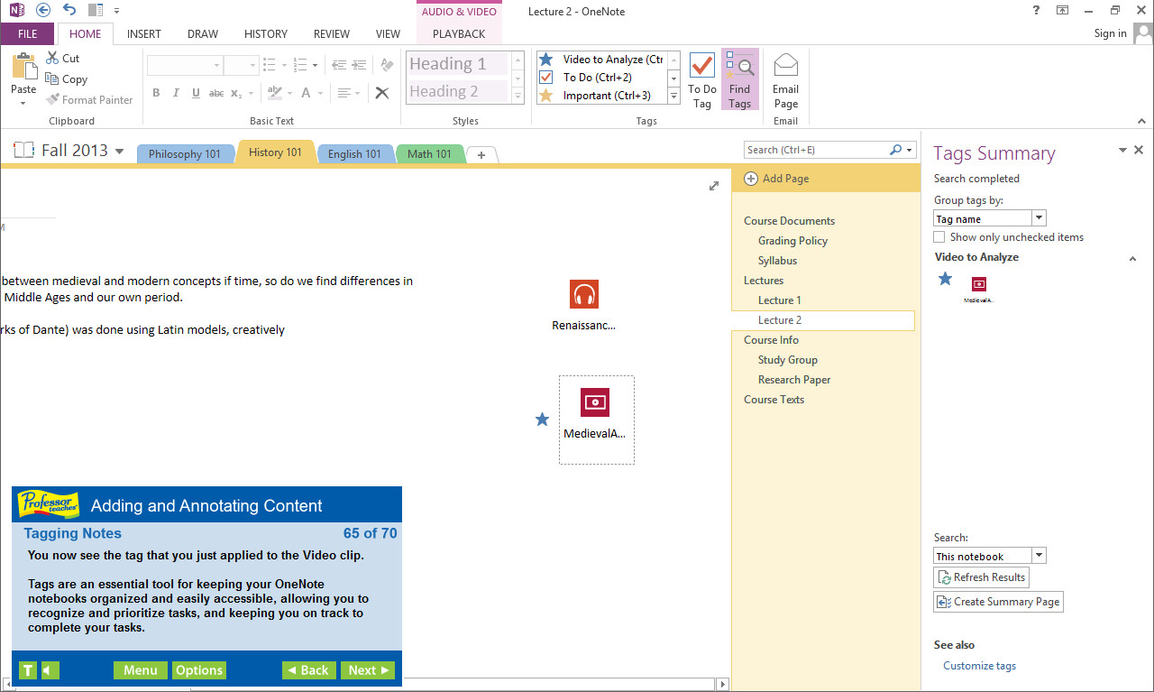 Professor Teaches® OneNote 2013 & 365