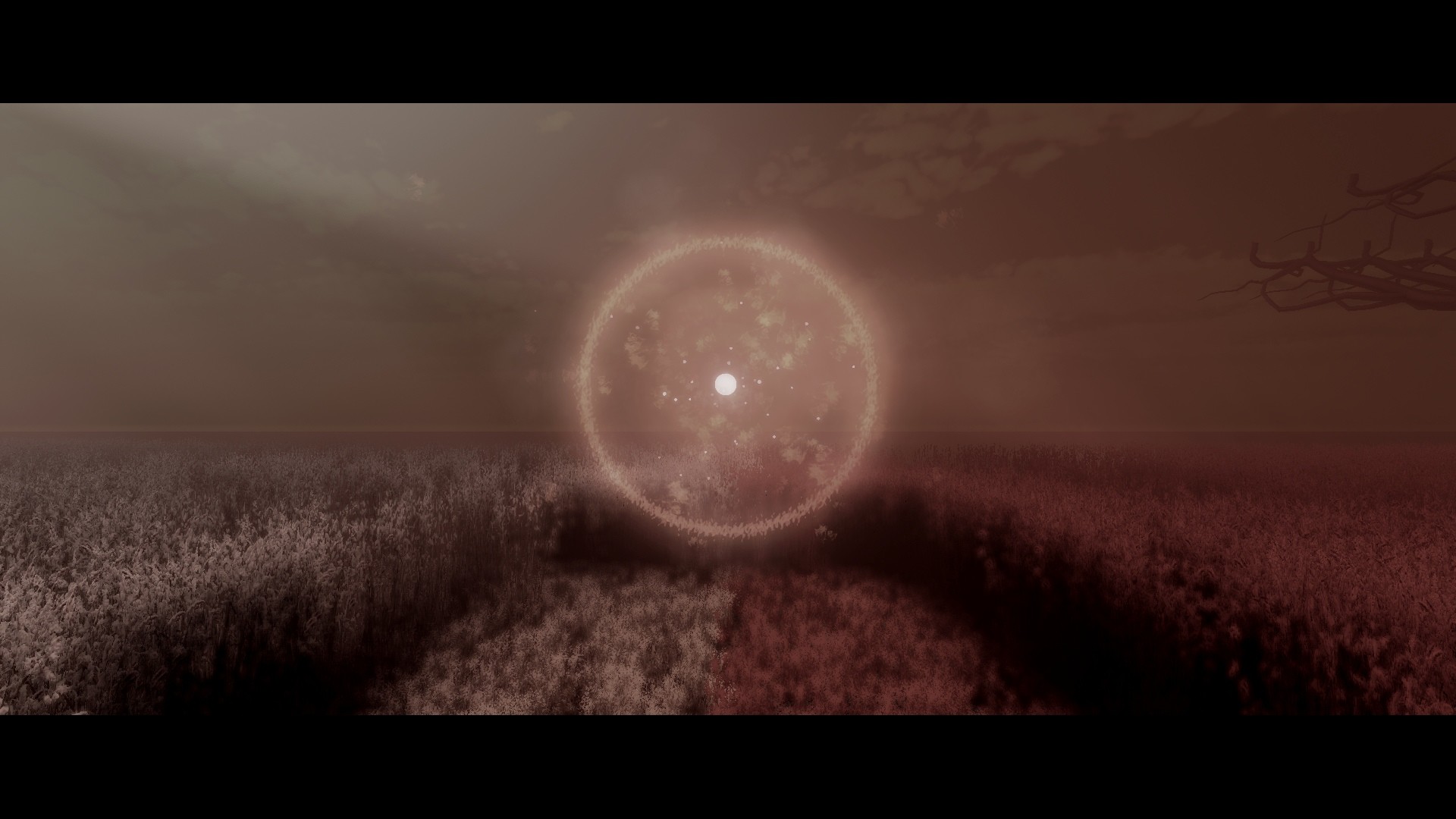 My Bones Remastered