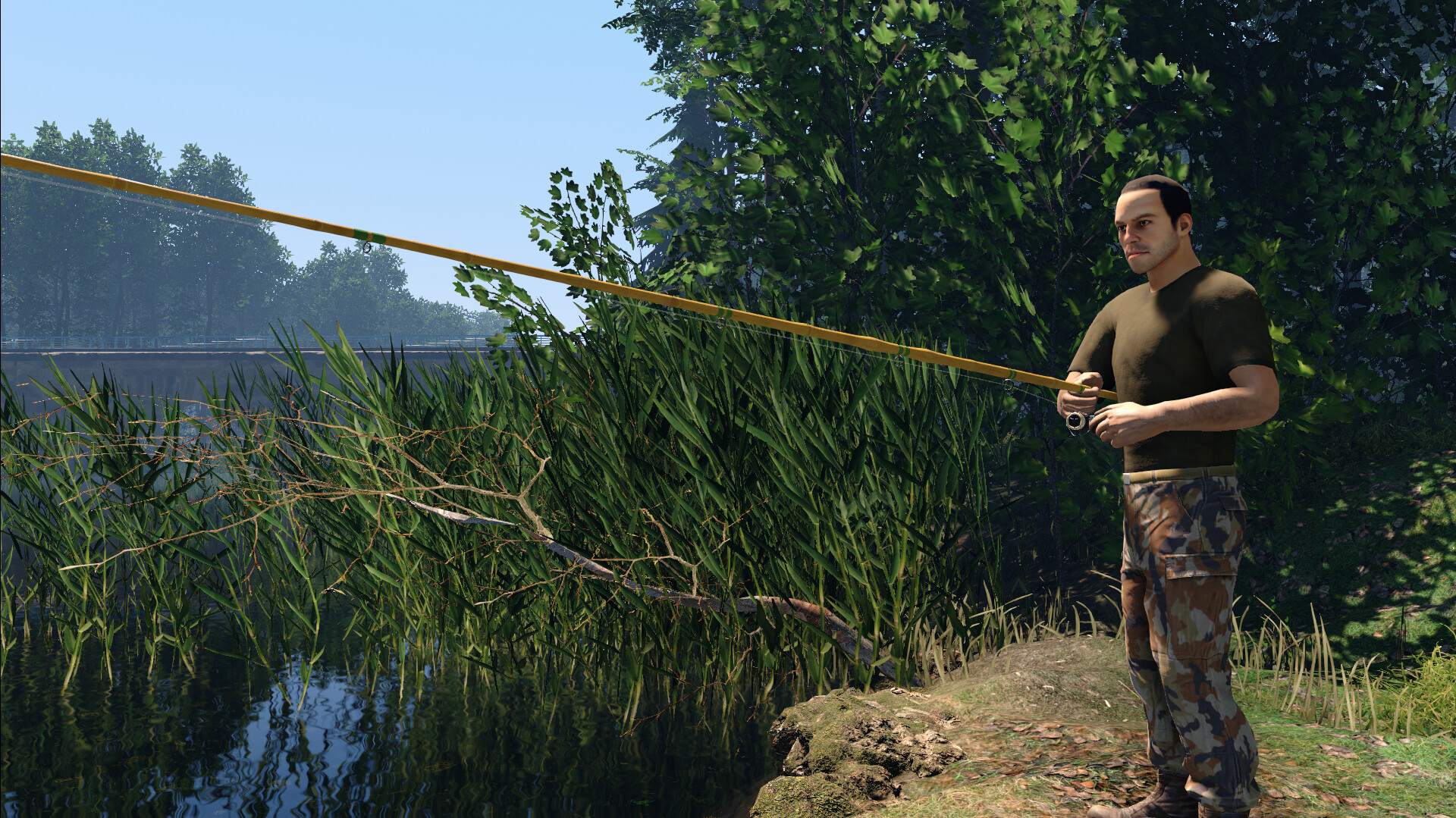 Professional Fishing 2