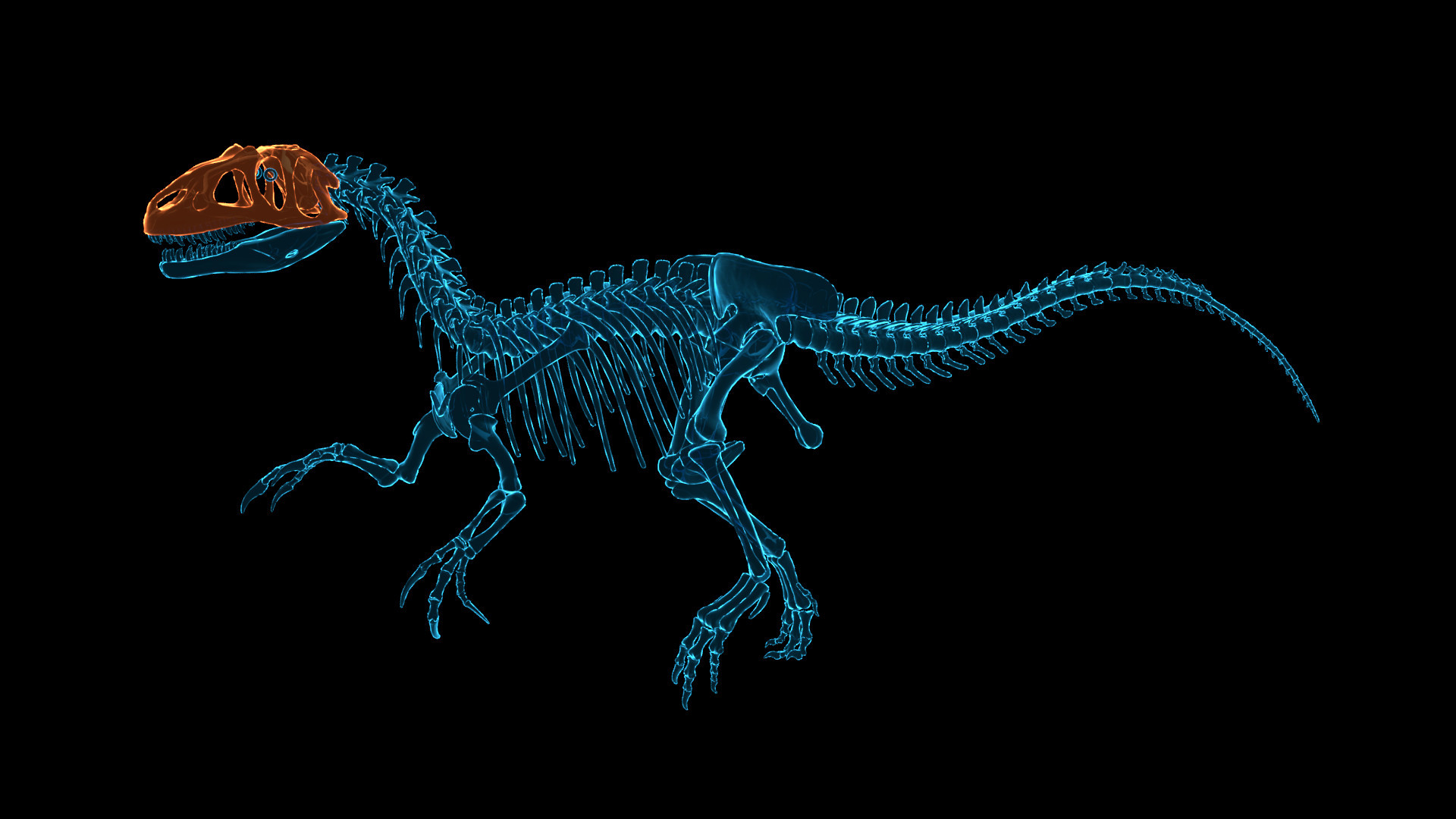 Dinosaur Fossil Hunter Demo
