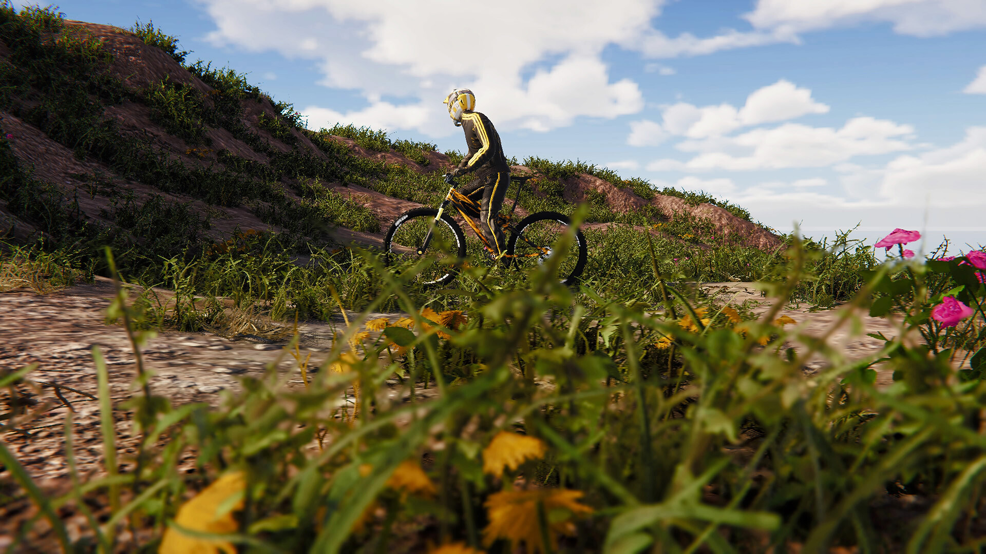 BMX Wild Run