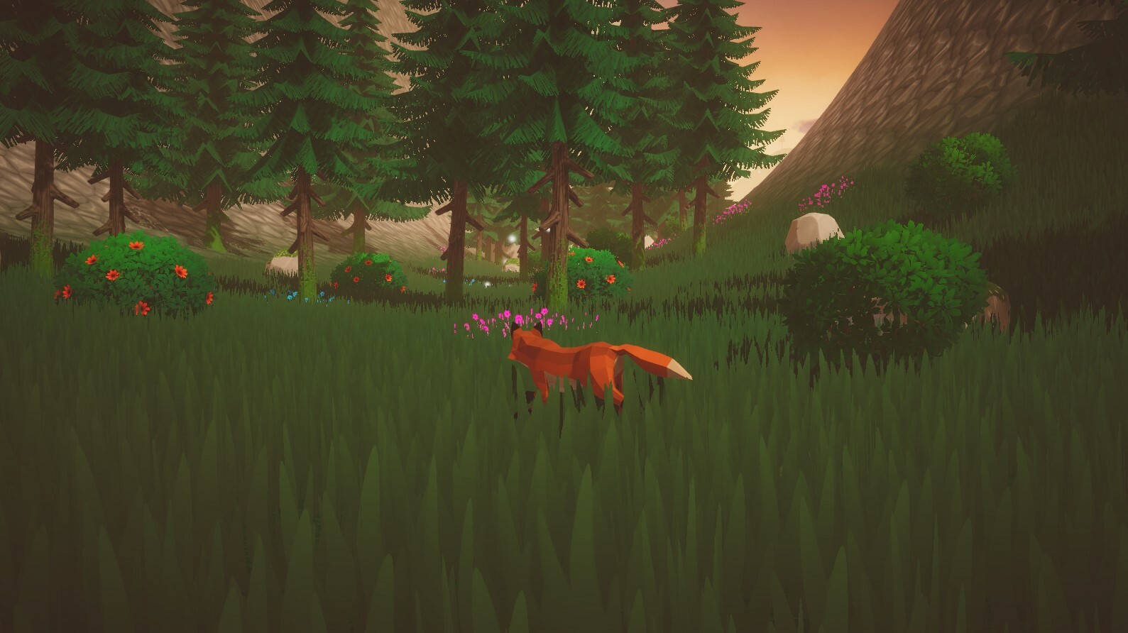 Silent Paws: Hidden Valley