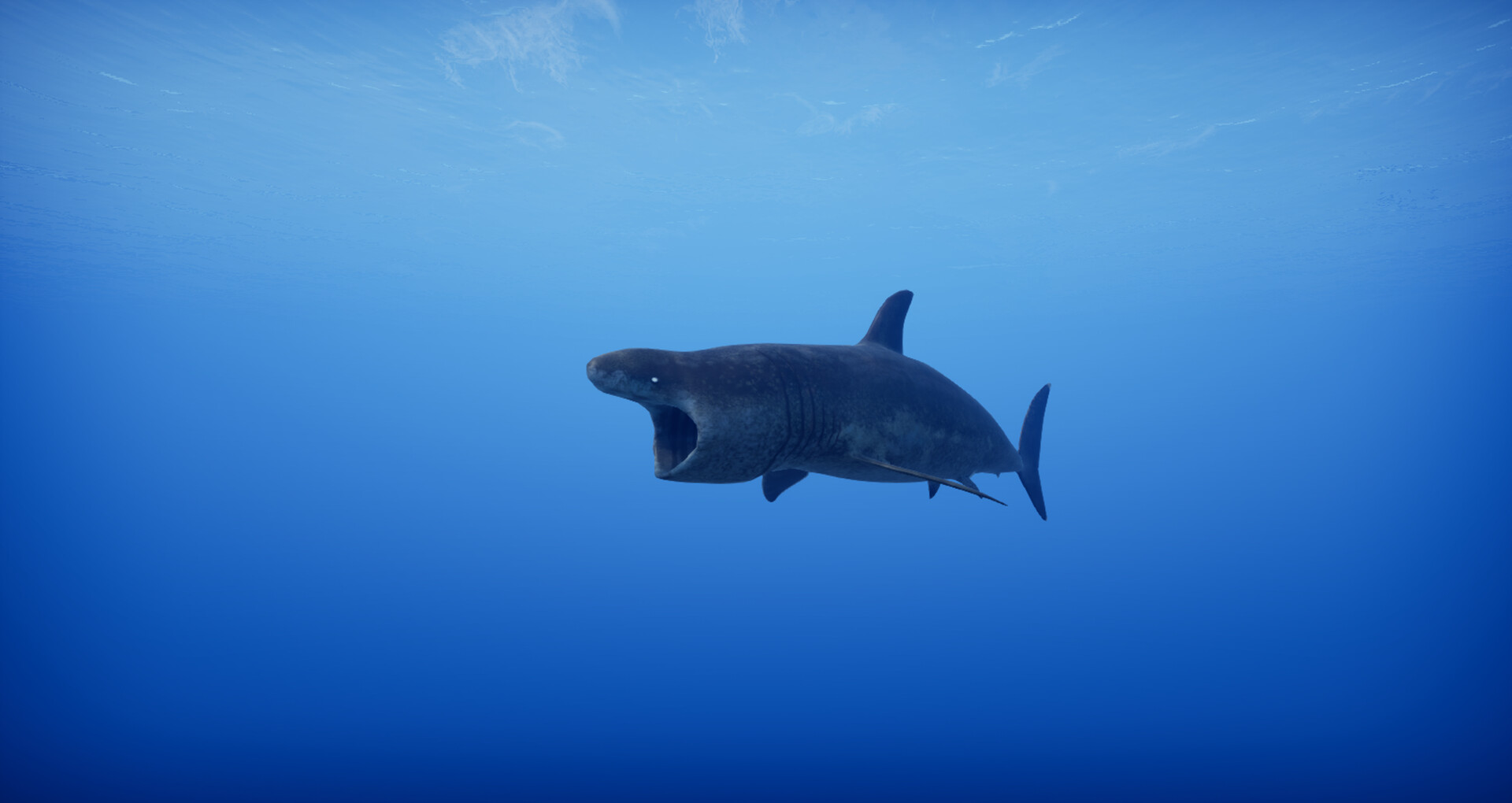 Primal Blue