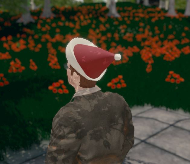 Hide and Seek - Santa Hat