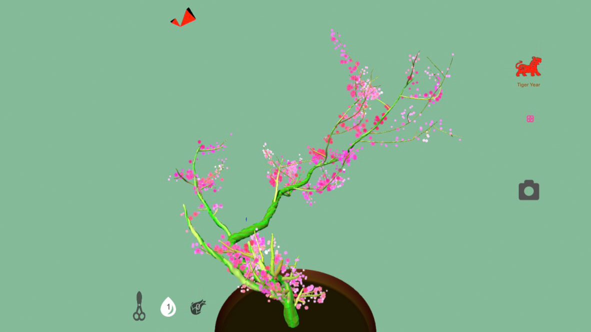 Tree Bonsai