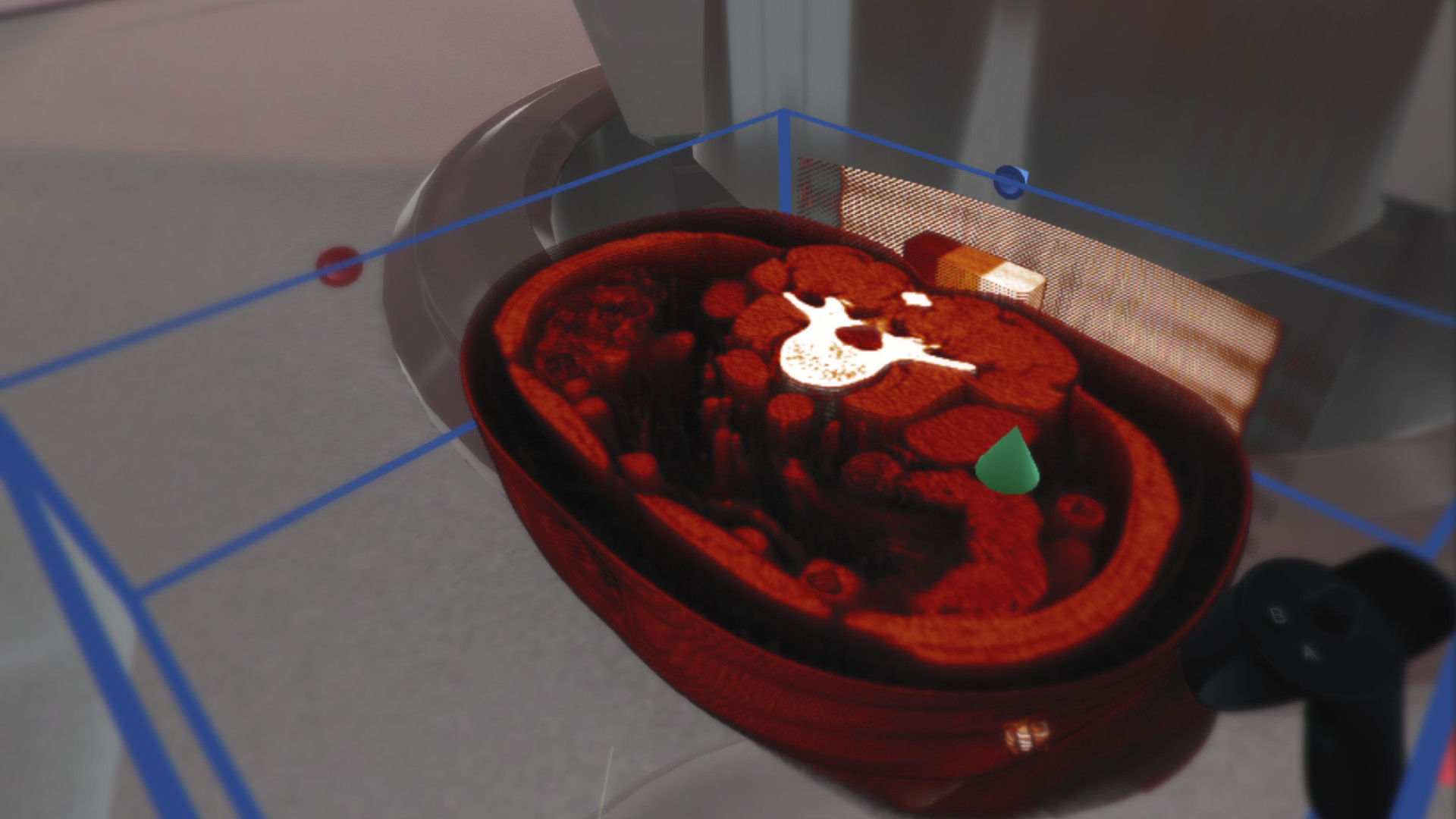 The Body VR: Anatomy Viewer