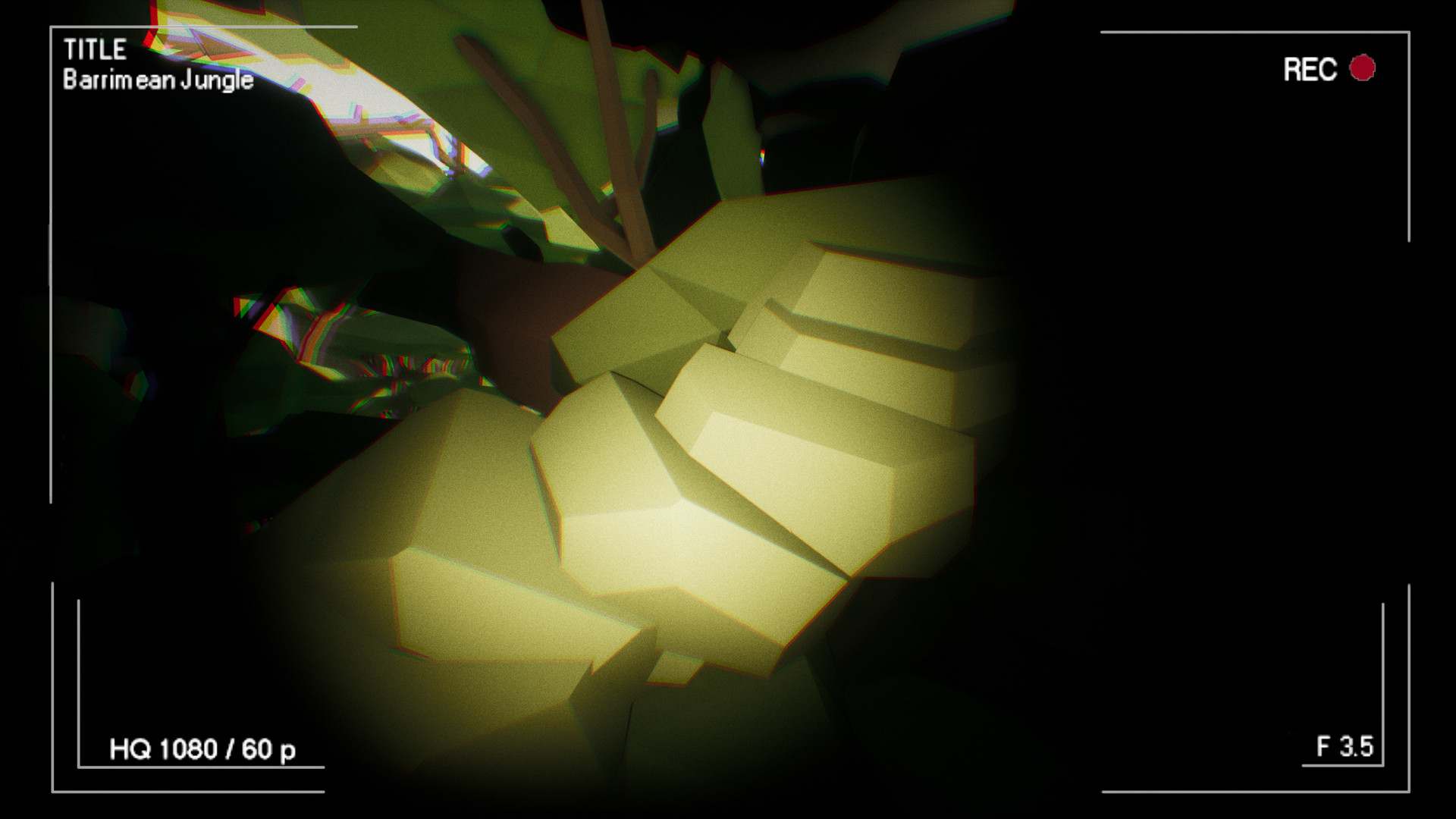 Barrimean Jungle