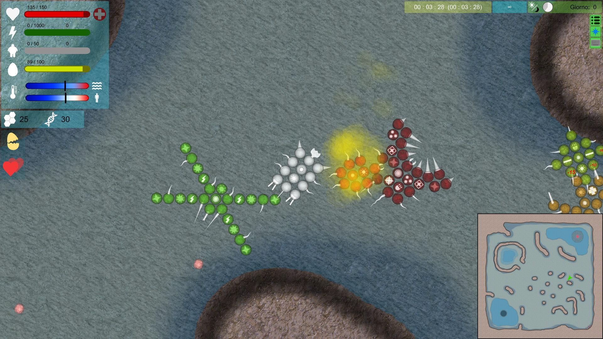 Multicellular