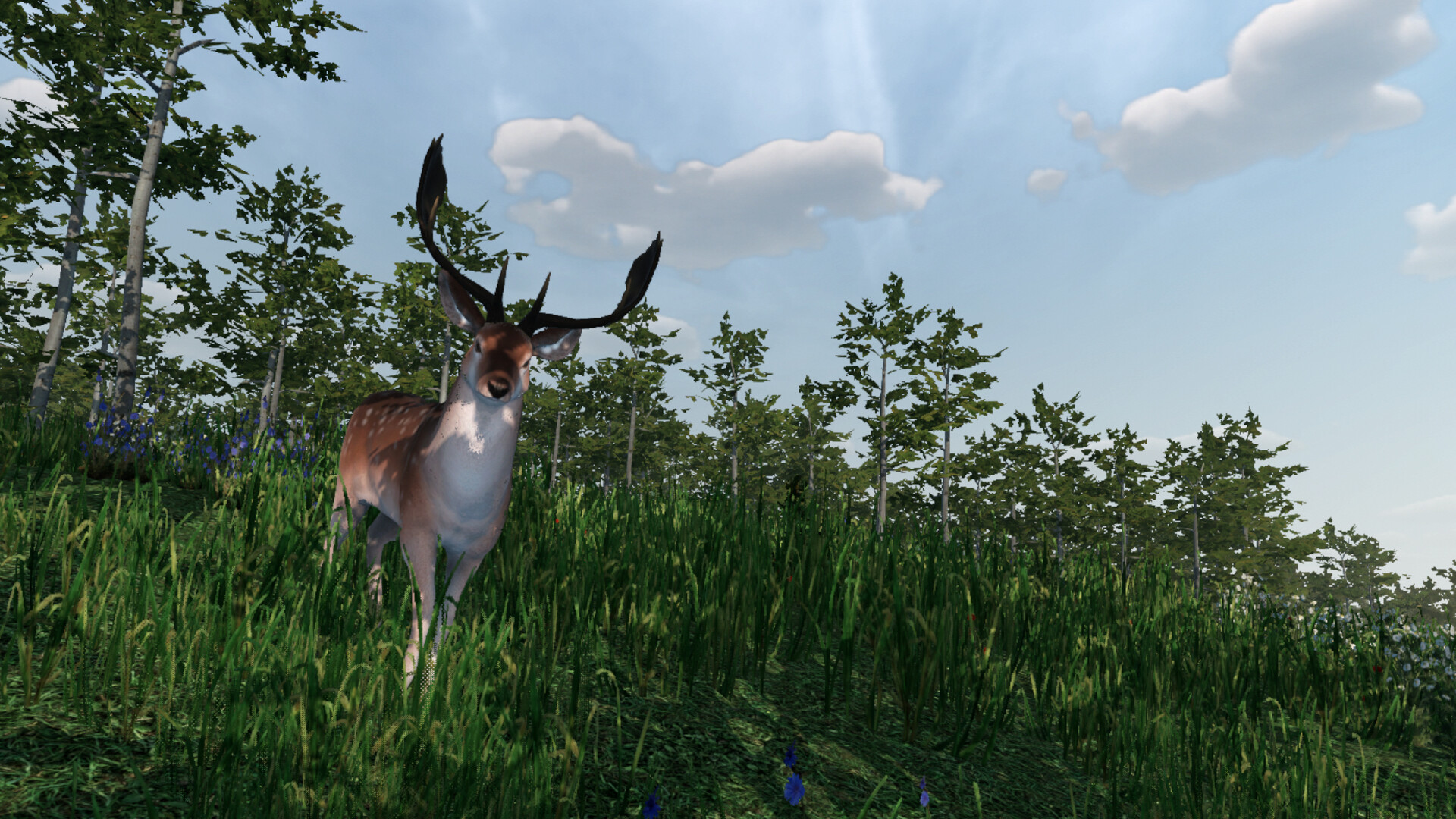 Virtual Hunter