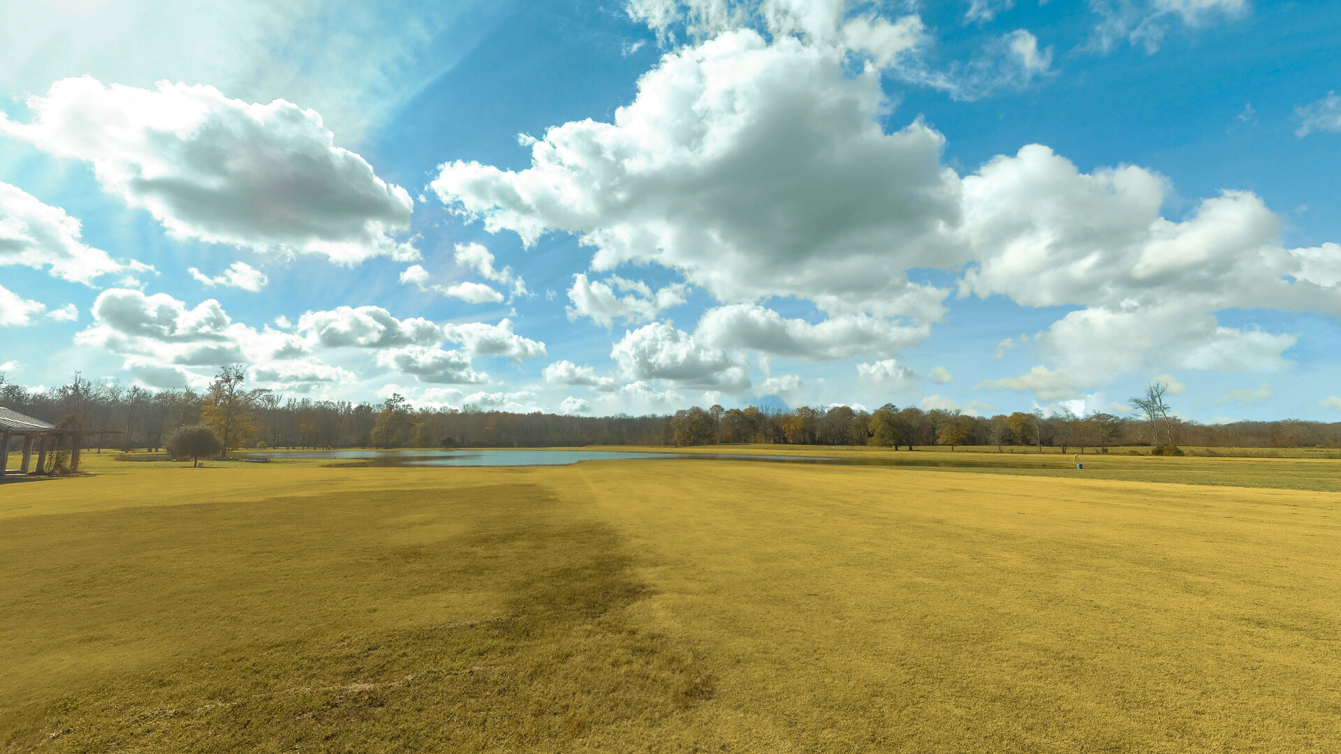 RealFlight Evolution - Triple Tree 3D Flight Line