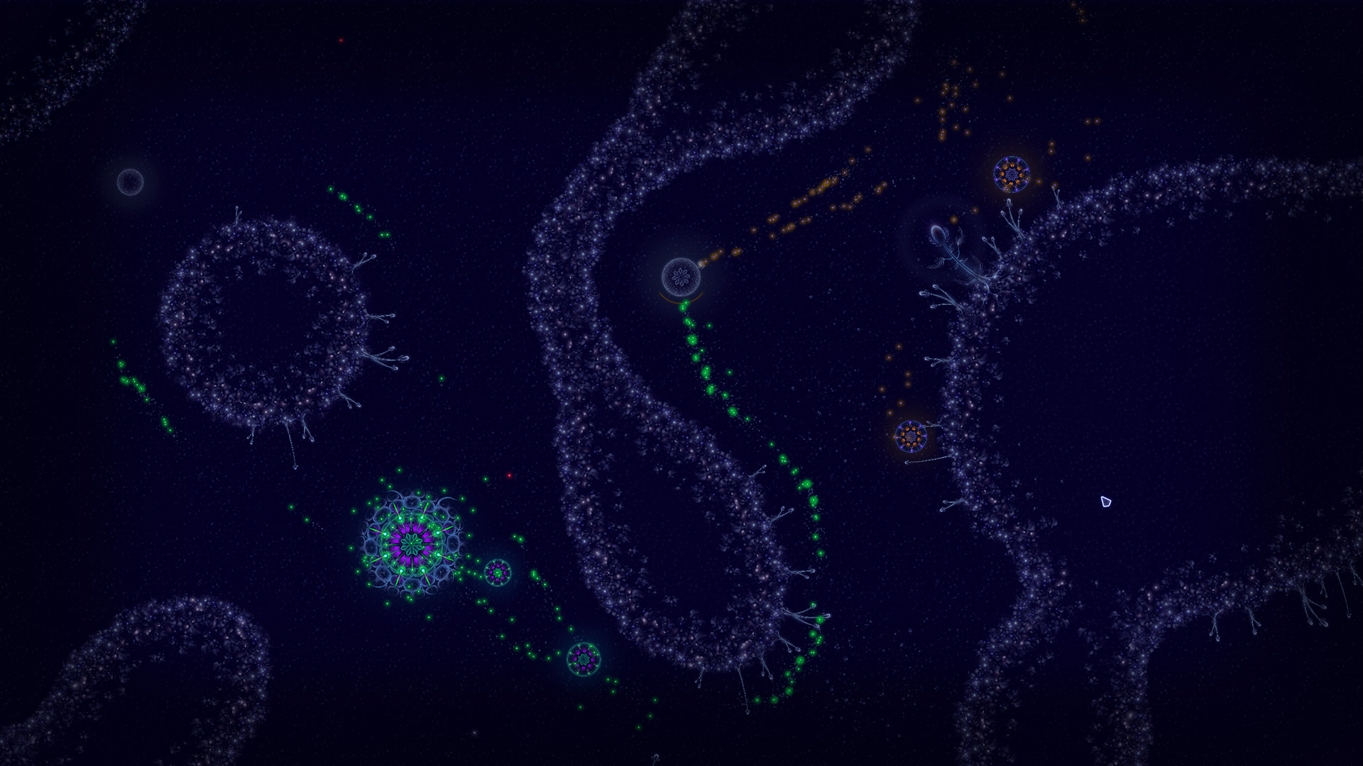 Microcosmum: survival of cells Demo