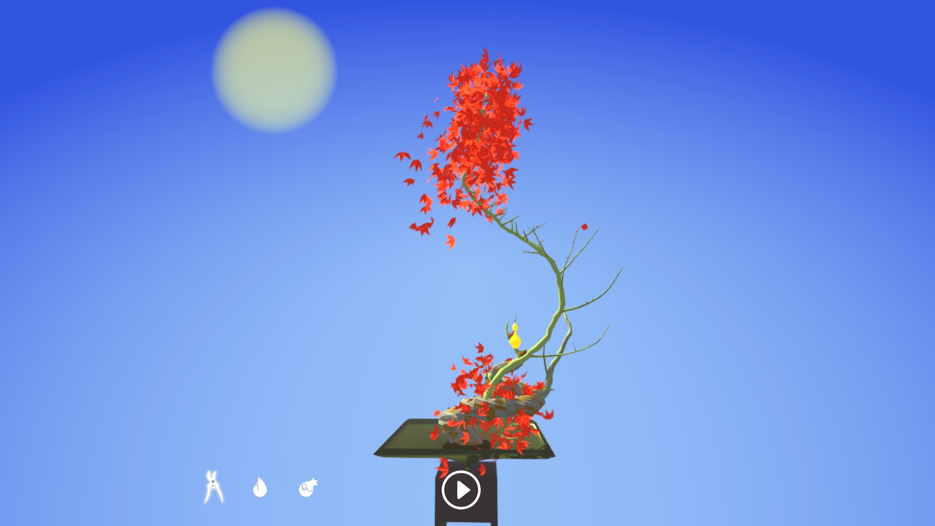 Tree Bonsai