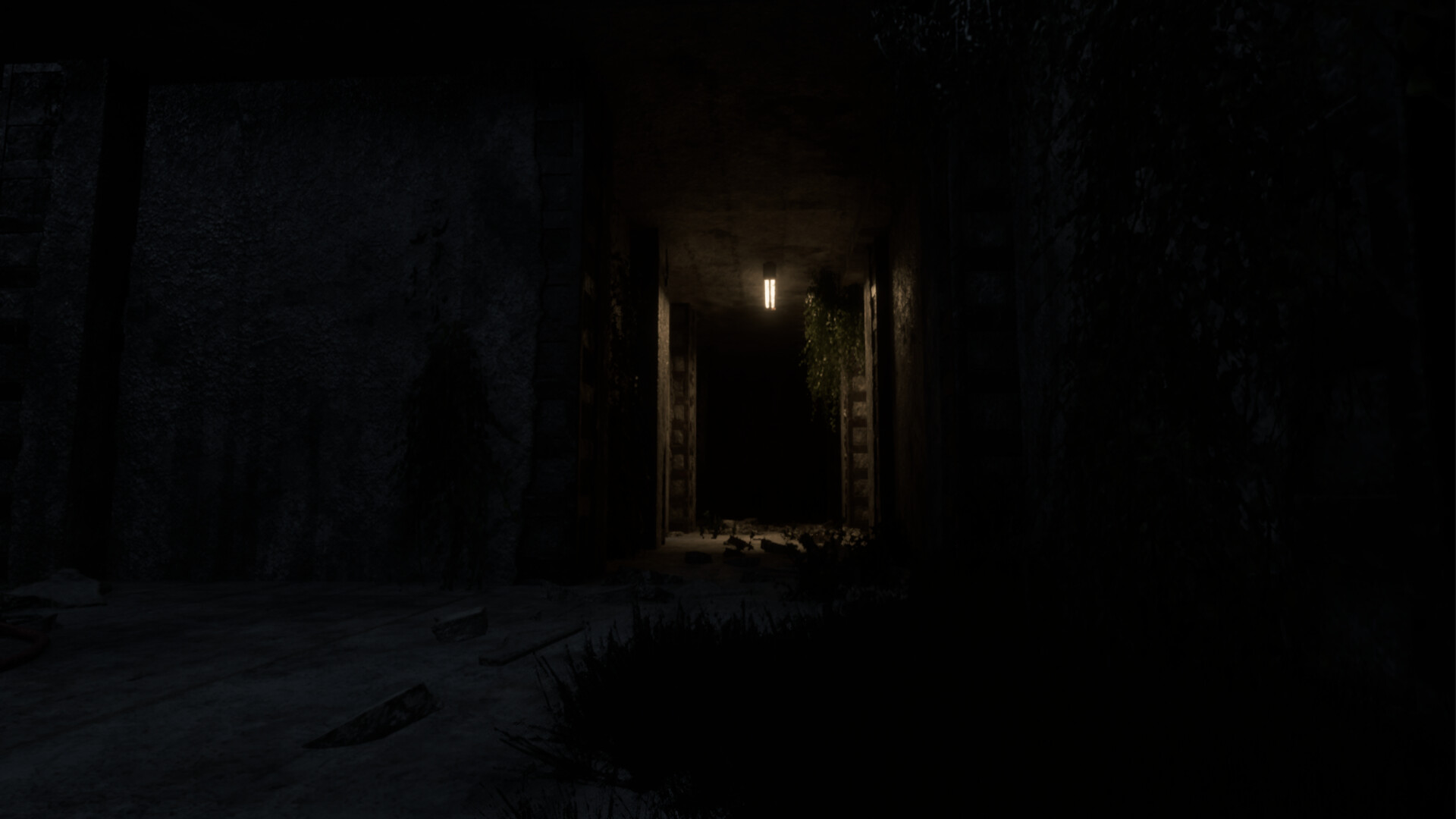 Darkness in the Forest