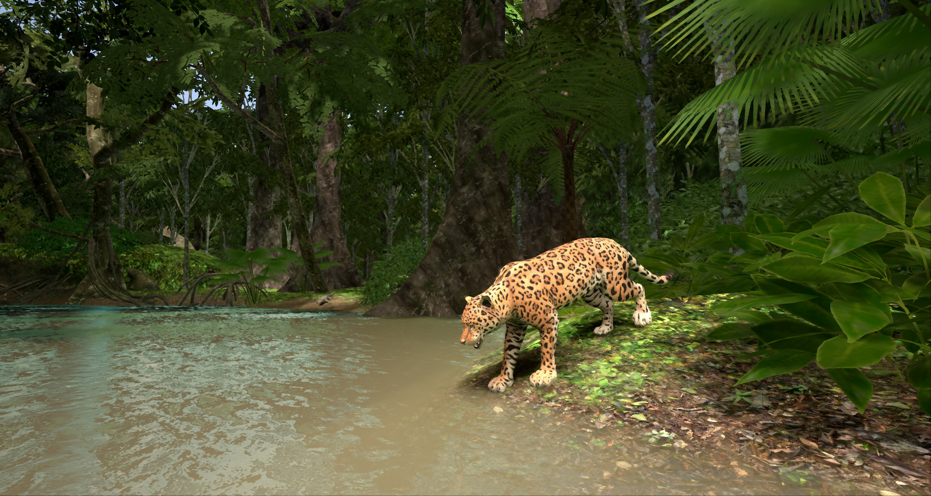 Animal Planet: Amazon Odyssey