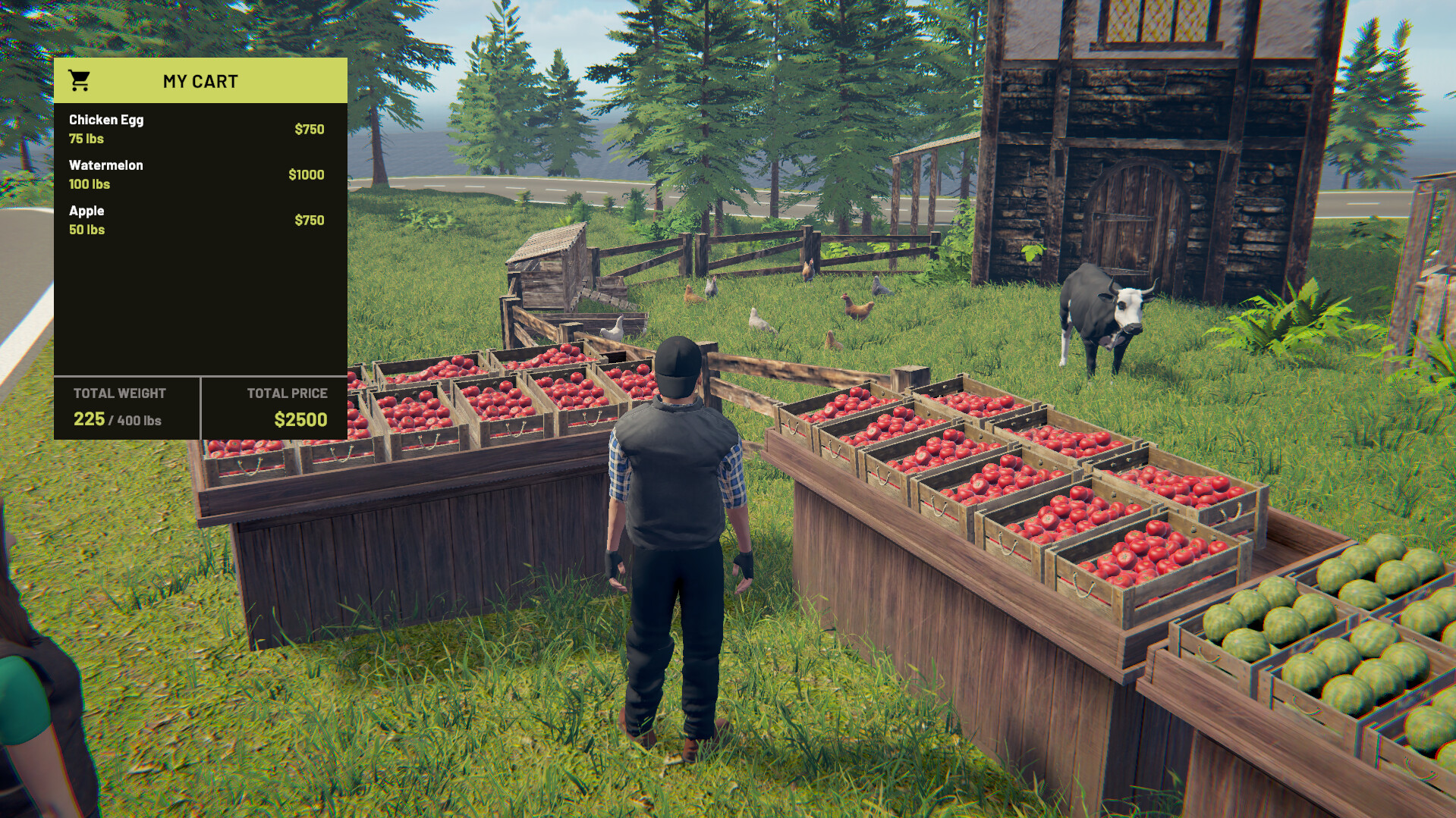 Village Dealer