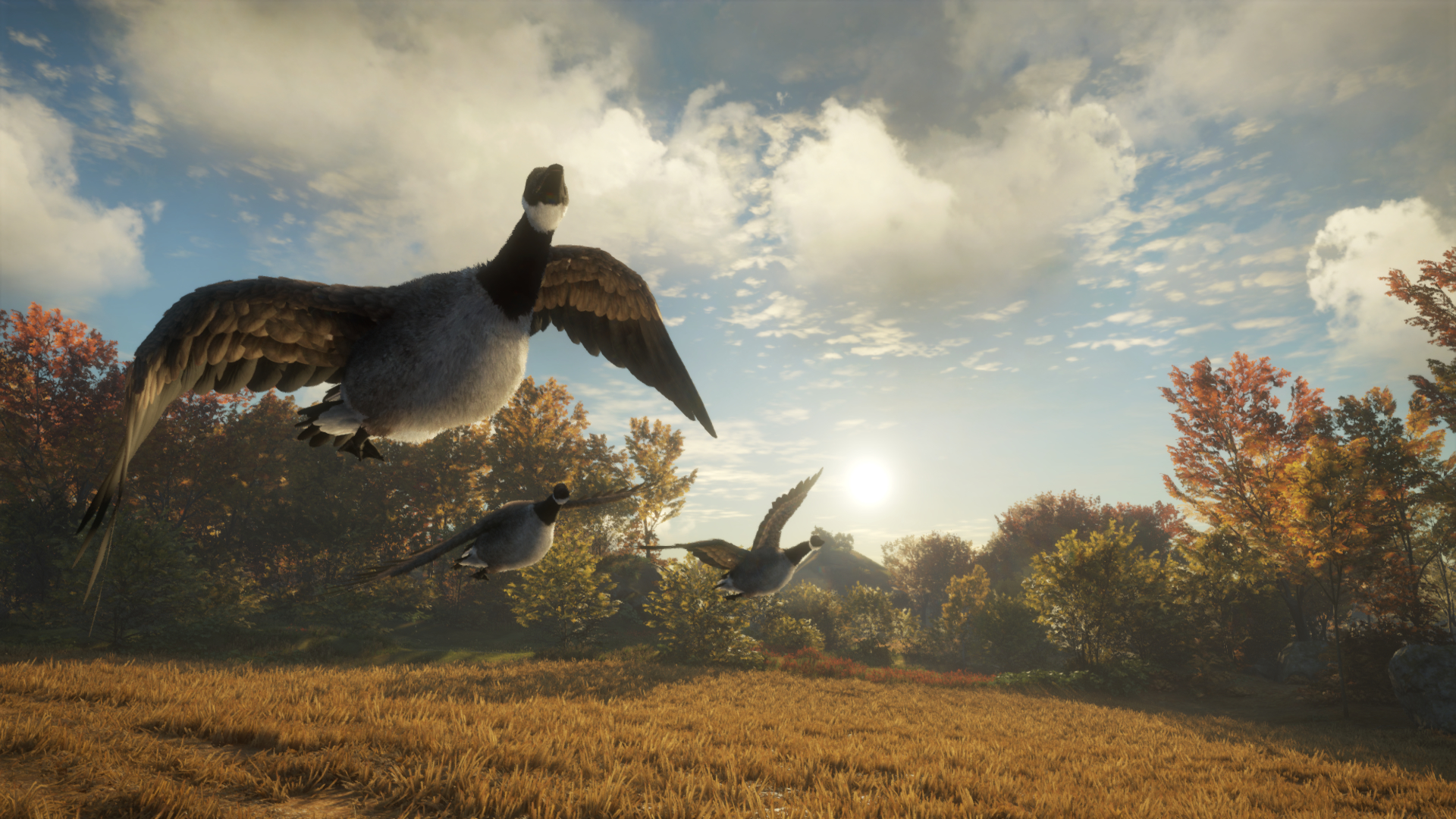 theHunter: Call of the Wild™ - New Species 2018