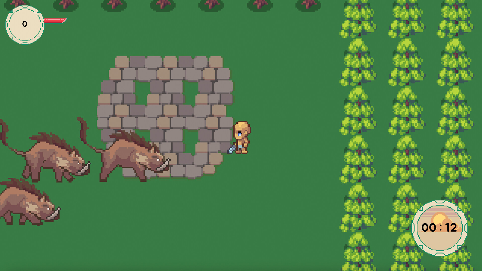 Wild boar survival