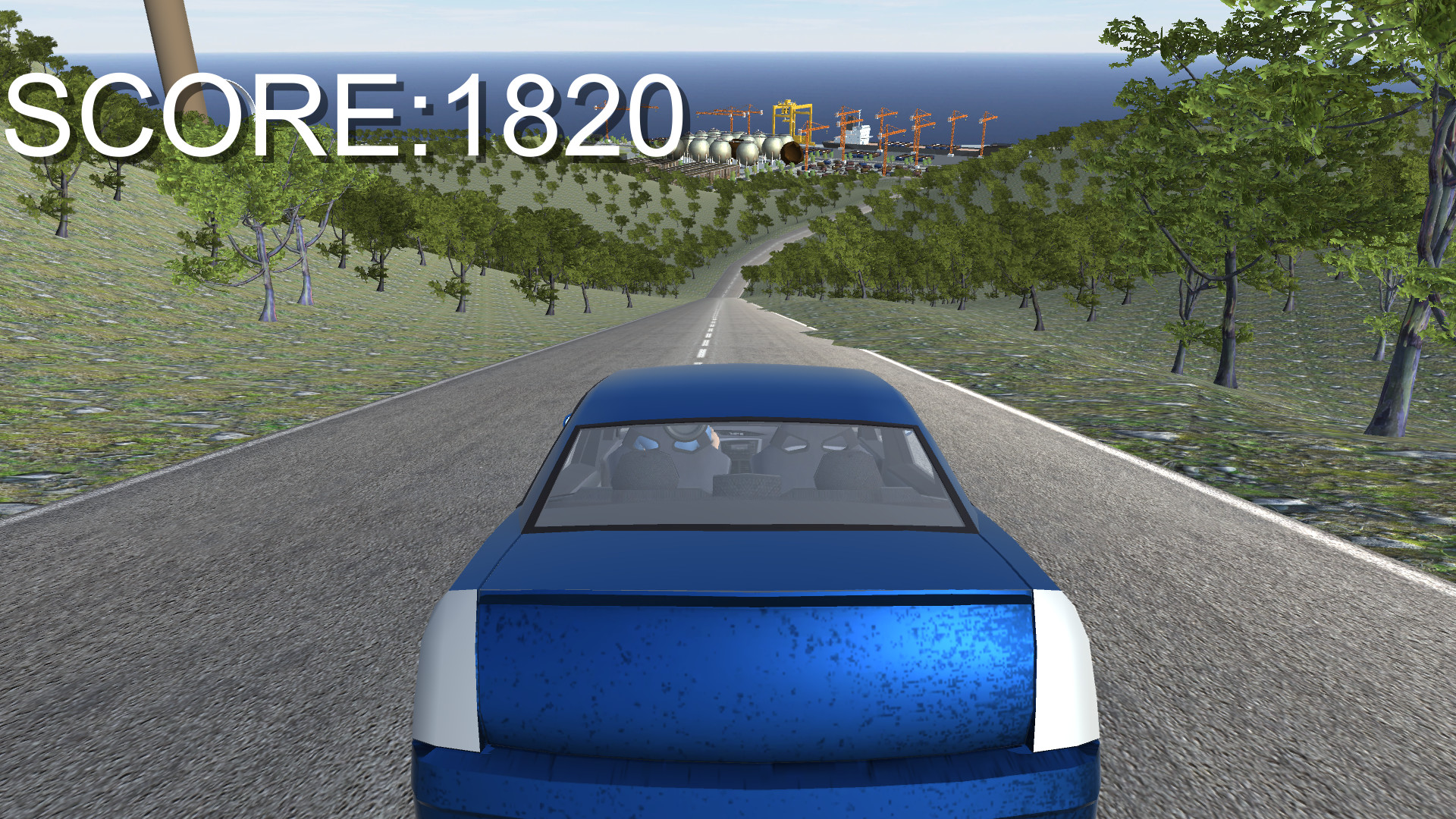 Amazing Human Simulator