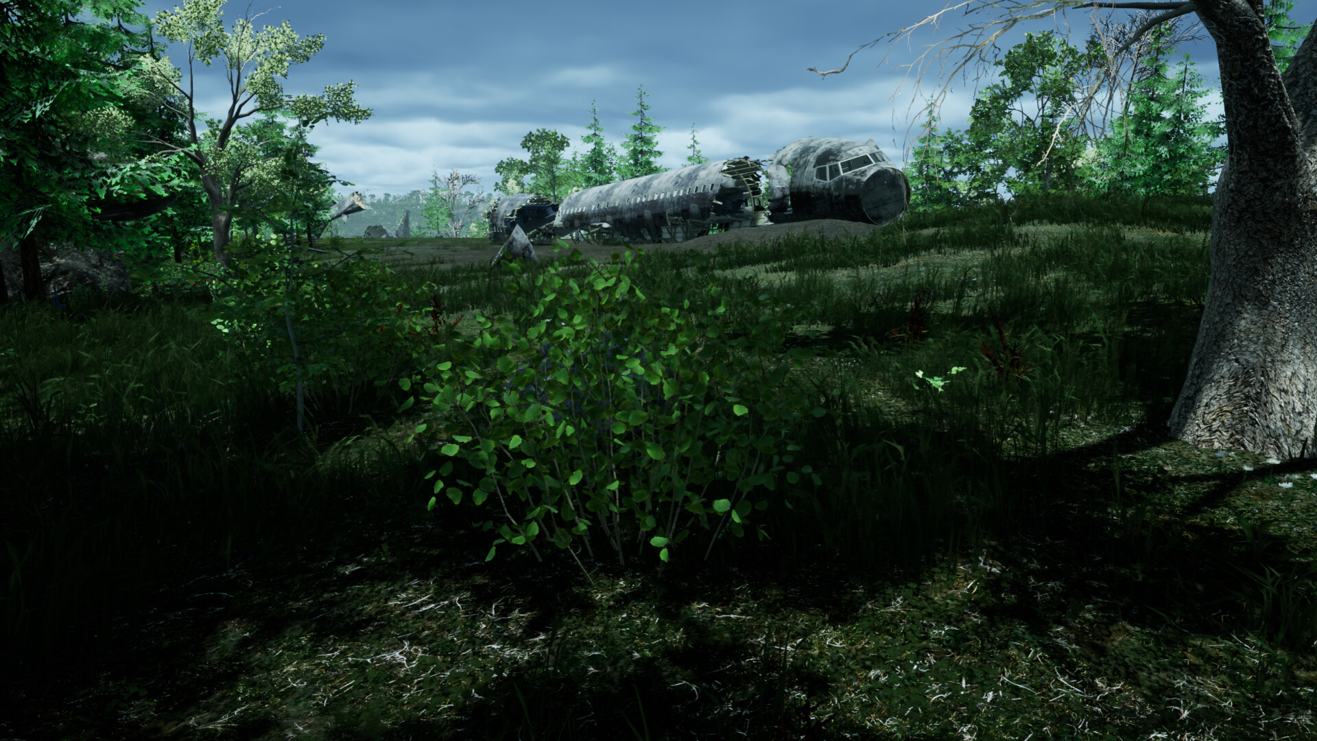 the ISLE survival