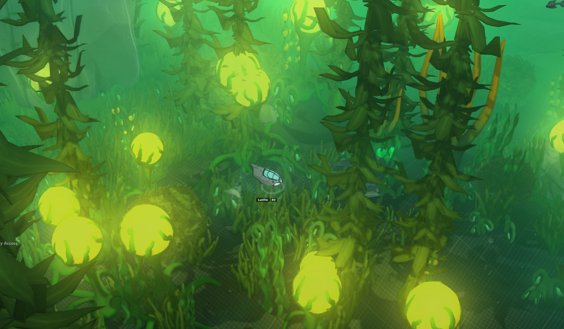 DeepStorm Online