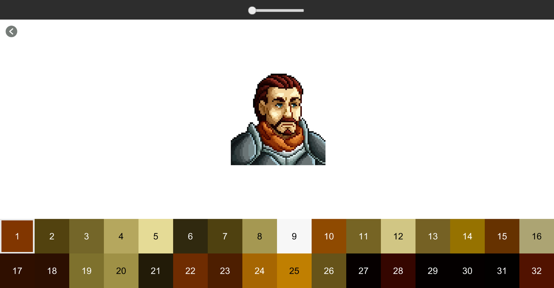 Color by Number - Medieval Portrait