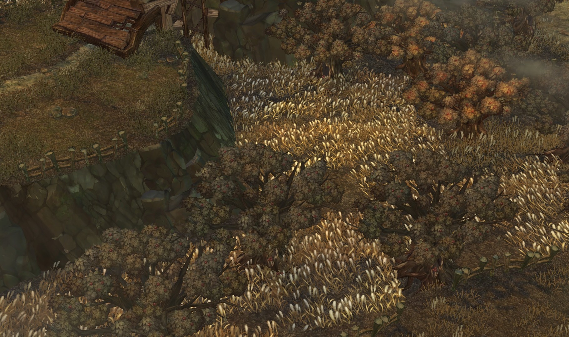 Tree of Savior (English Ver.)