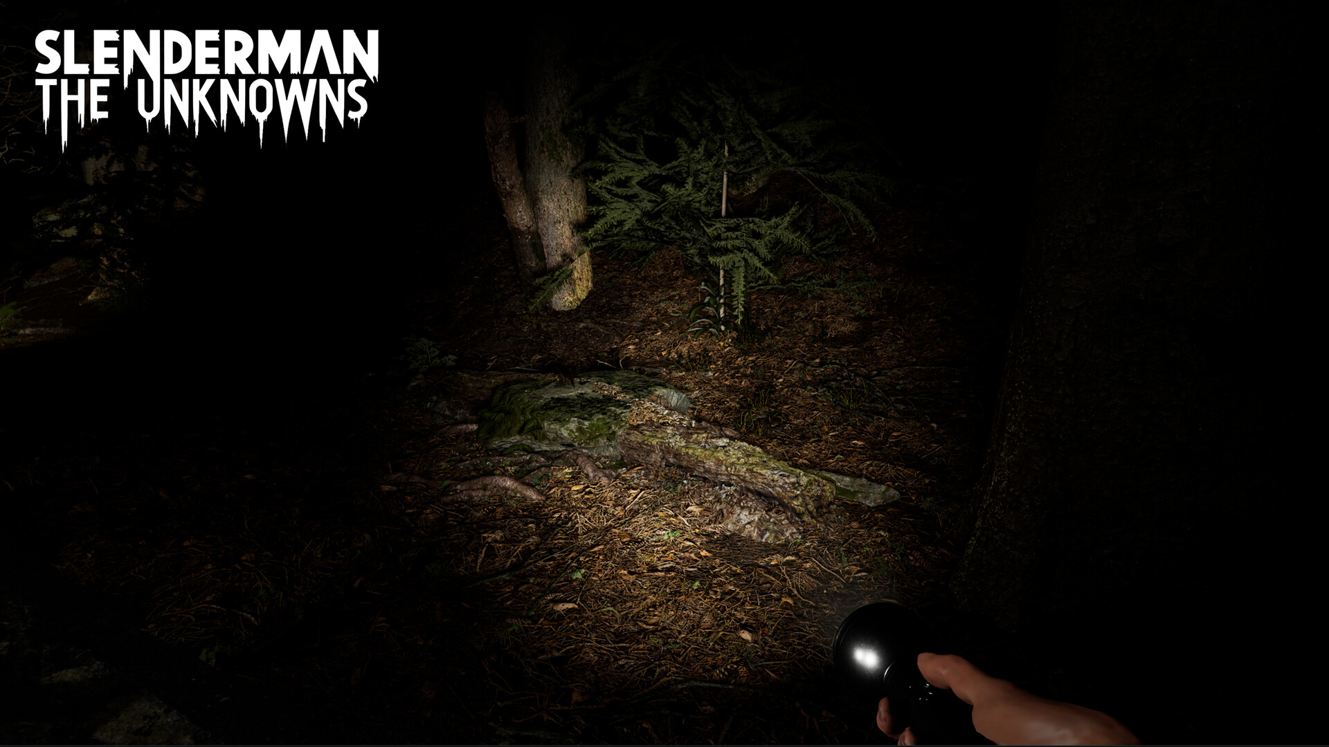 Slenderman: The Unknowns