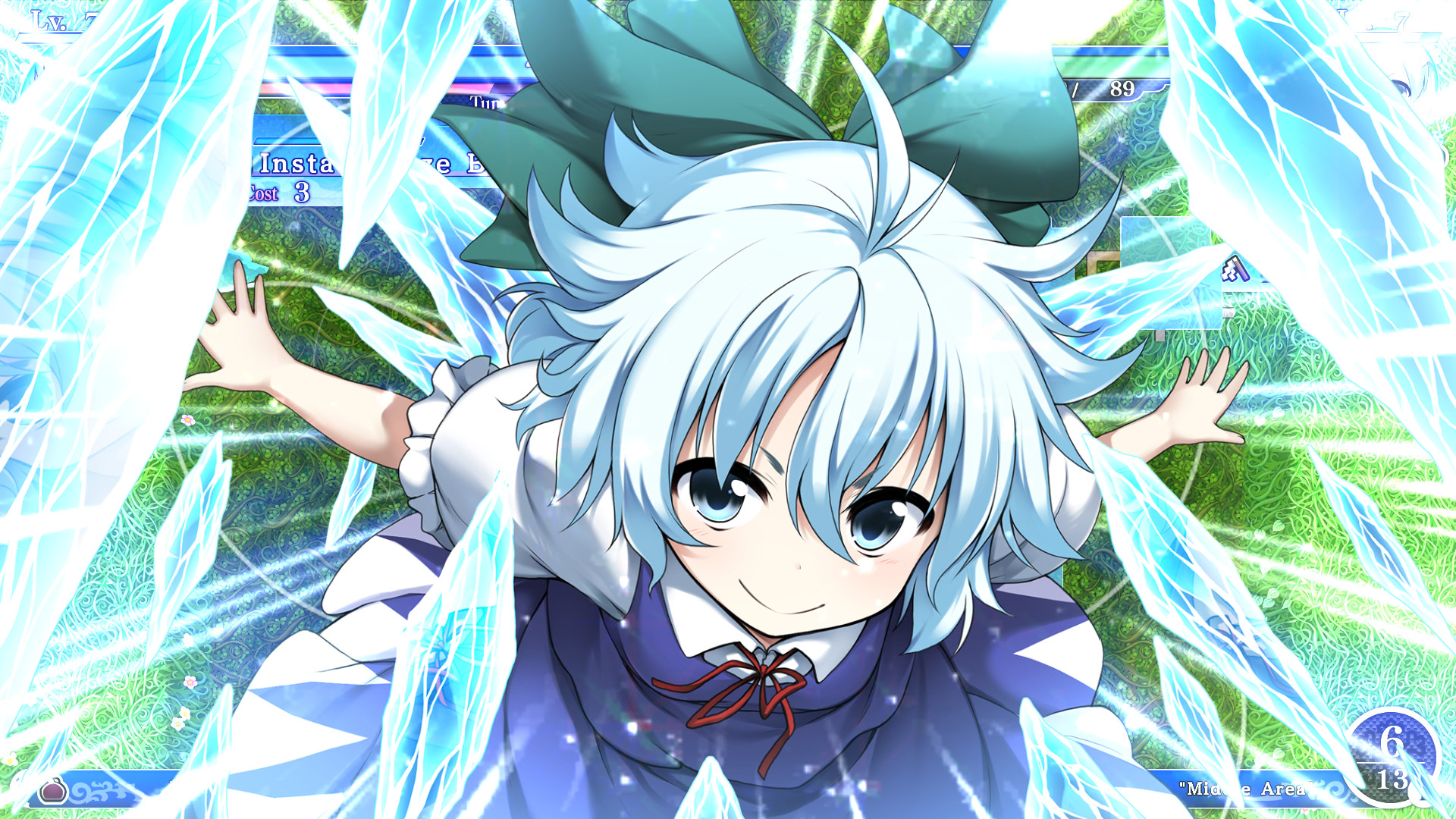 Player & Partner character 