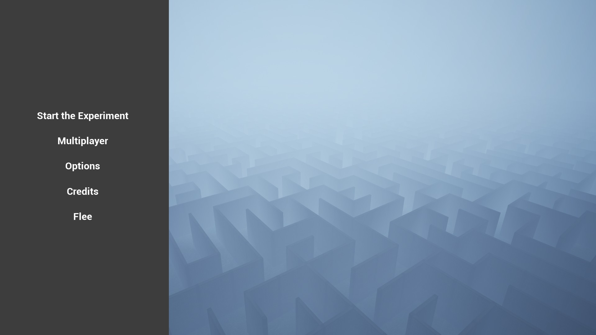 What The Maze