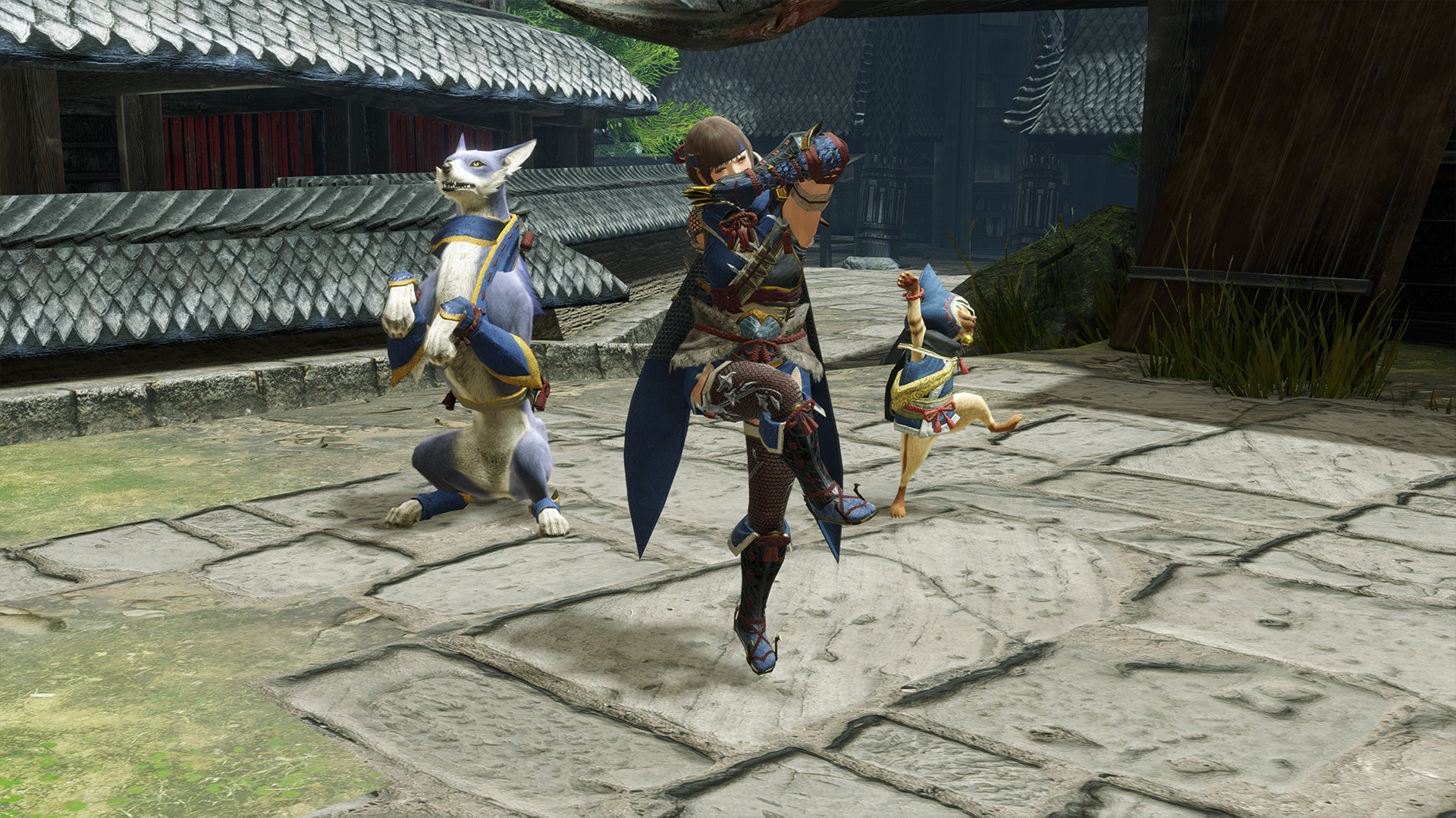 MONSTER HUNTER RISE - 