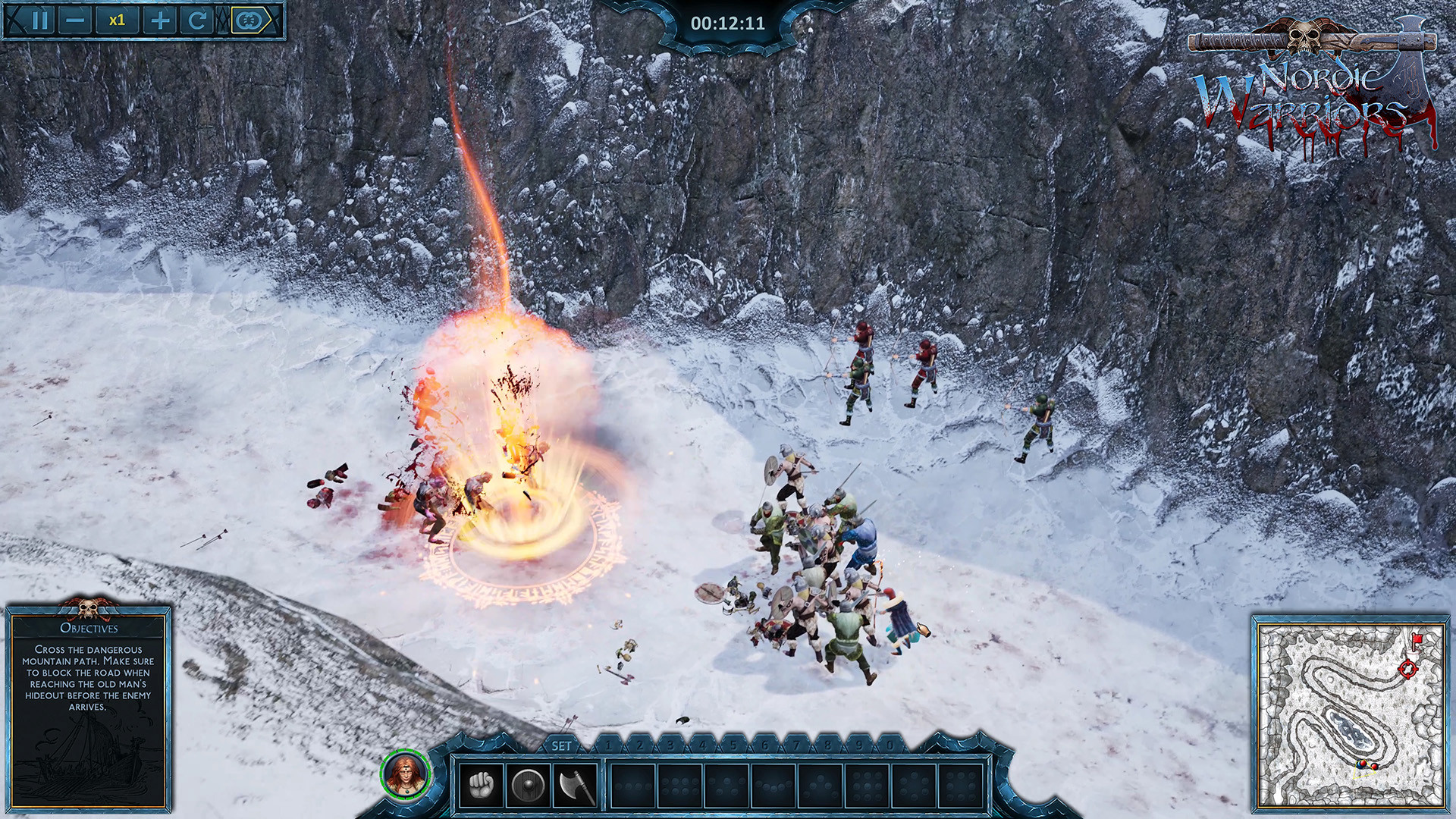 Nordic Warriors