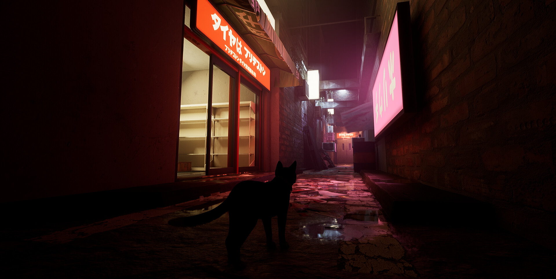 Project Paws