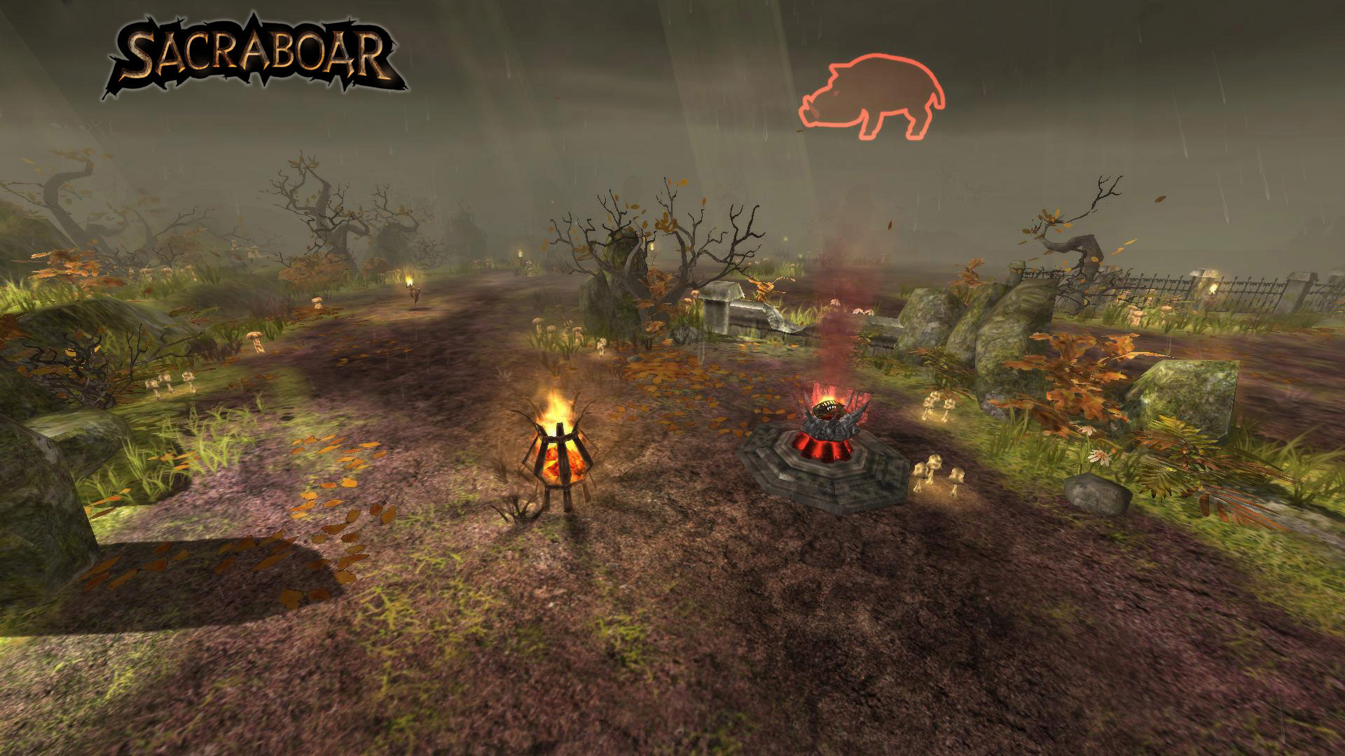Sacraboar